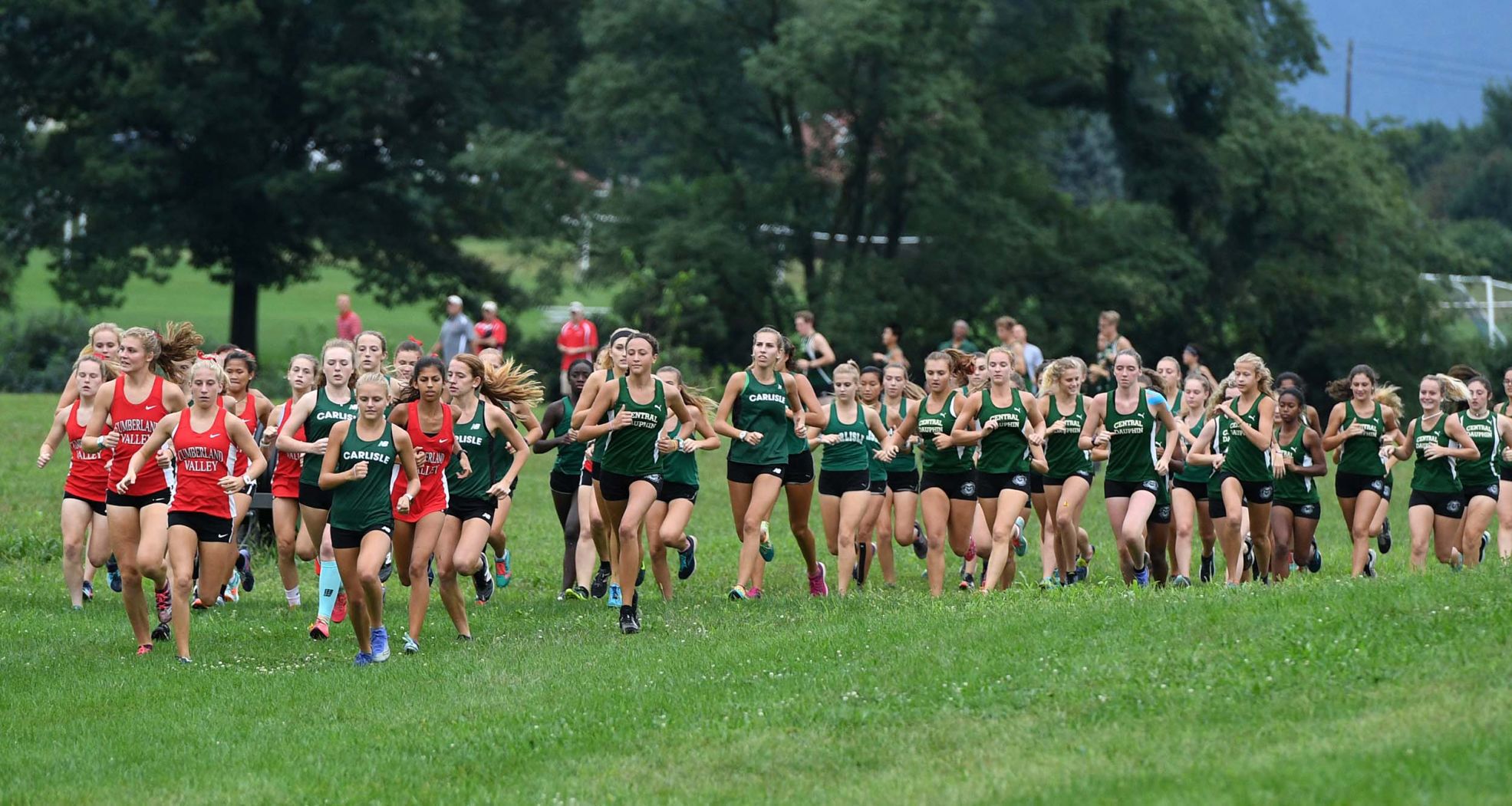 Girls Cross Country .jpg